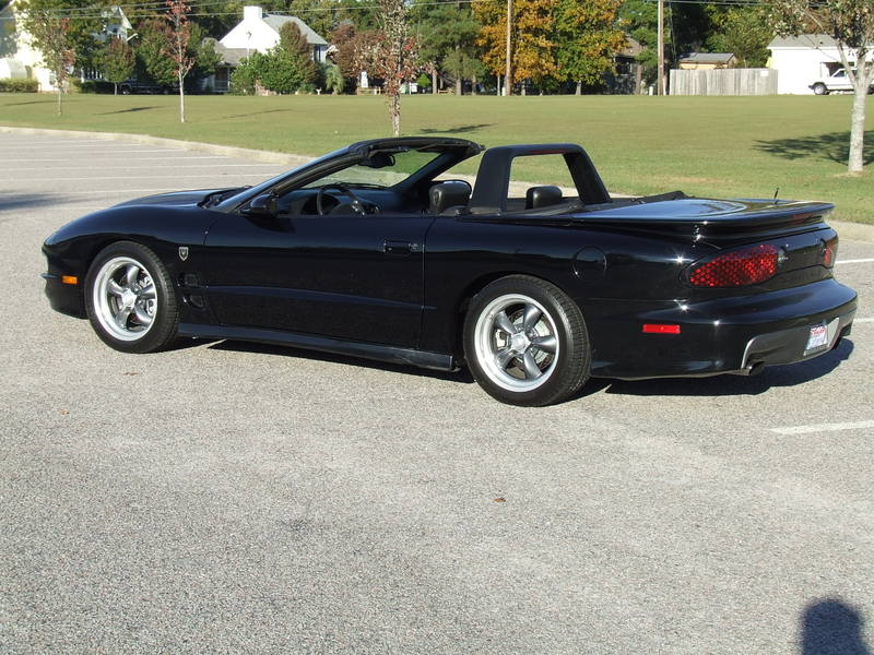 02 black Convert 2.jpg