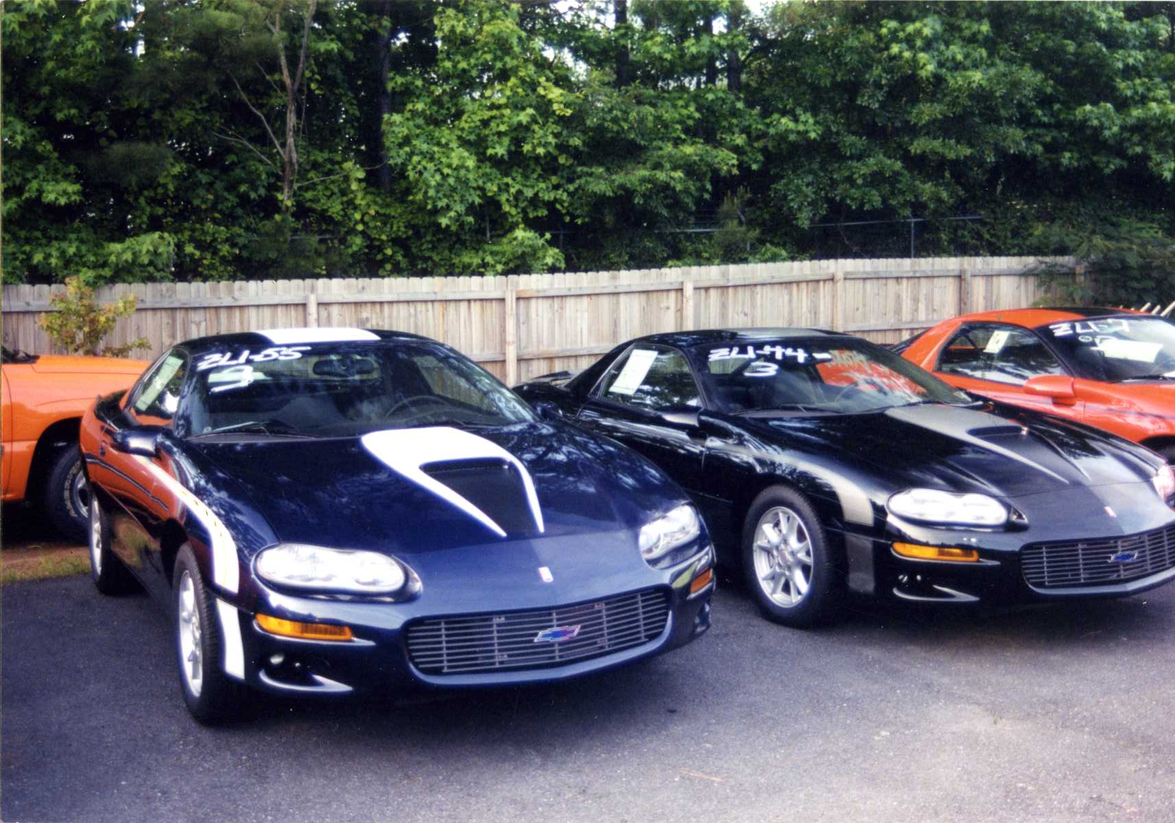 0ZL1X44.jpg