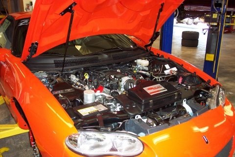 S2.jpg