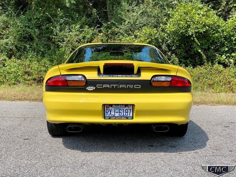 ZL136 Yellow Andy (9).jpg
