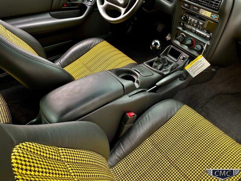 ZL136 Yellow Andy (33).jpg