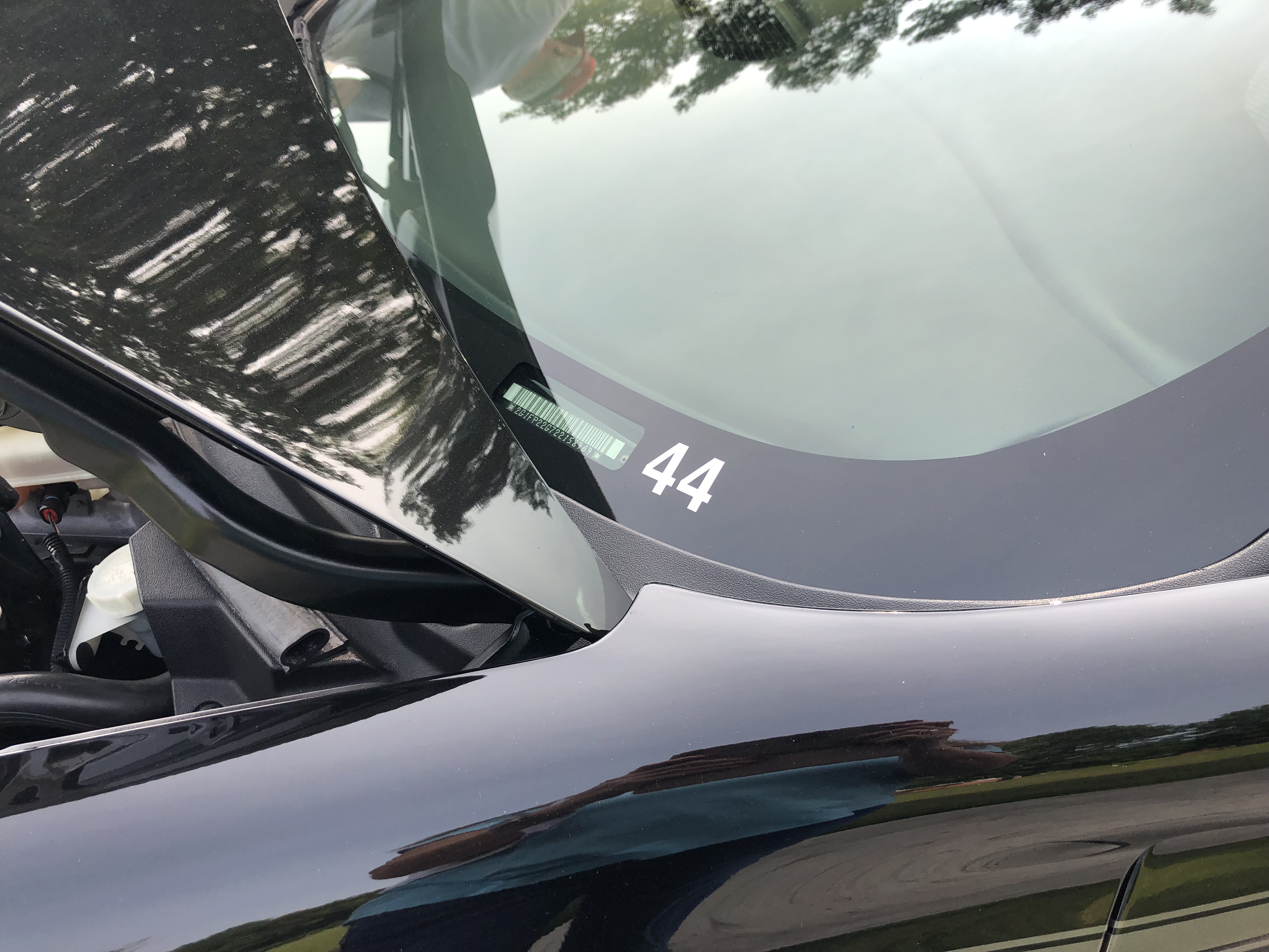44zL (1).JPG