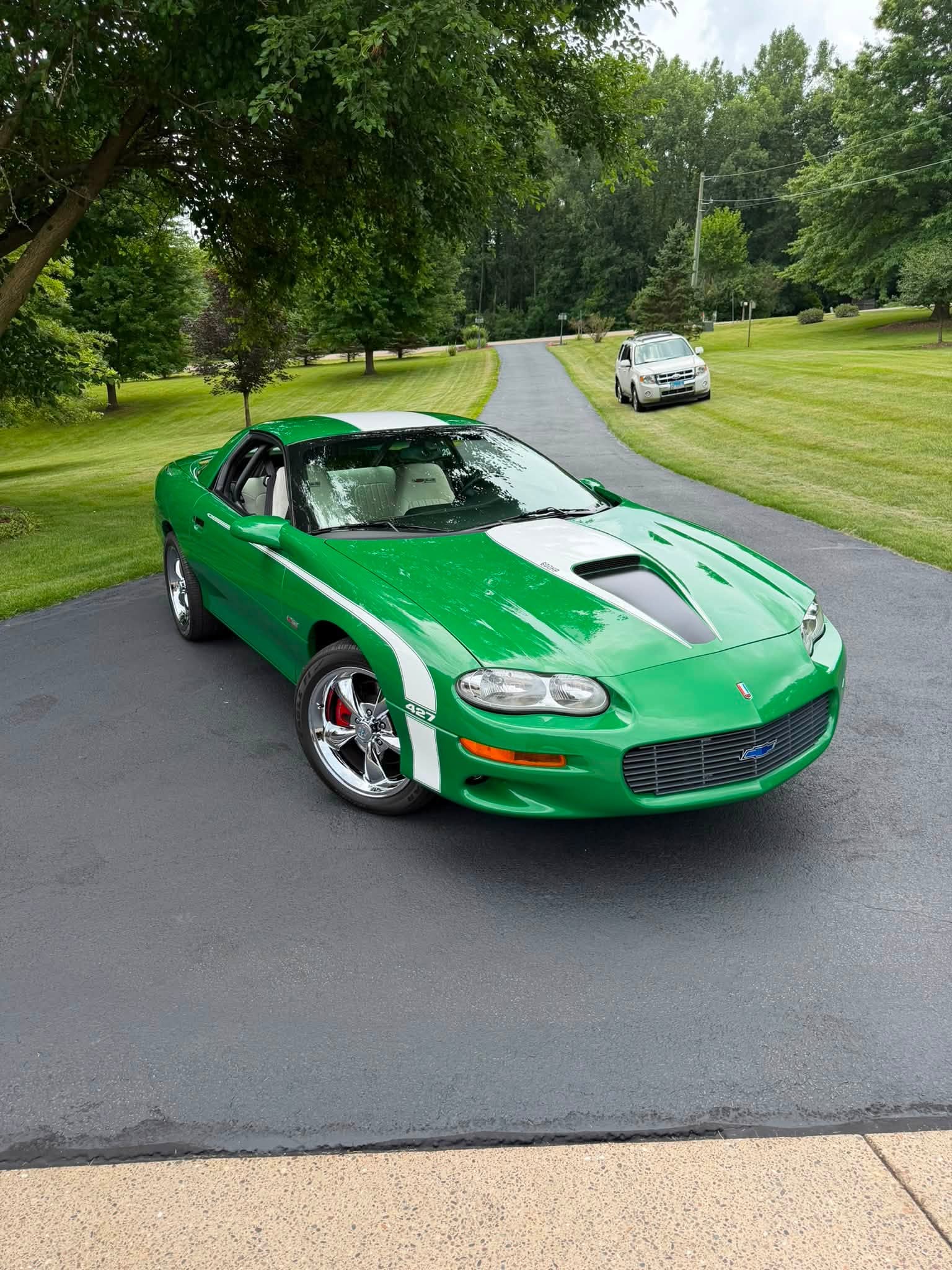 ZL1 20.jpg