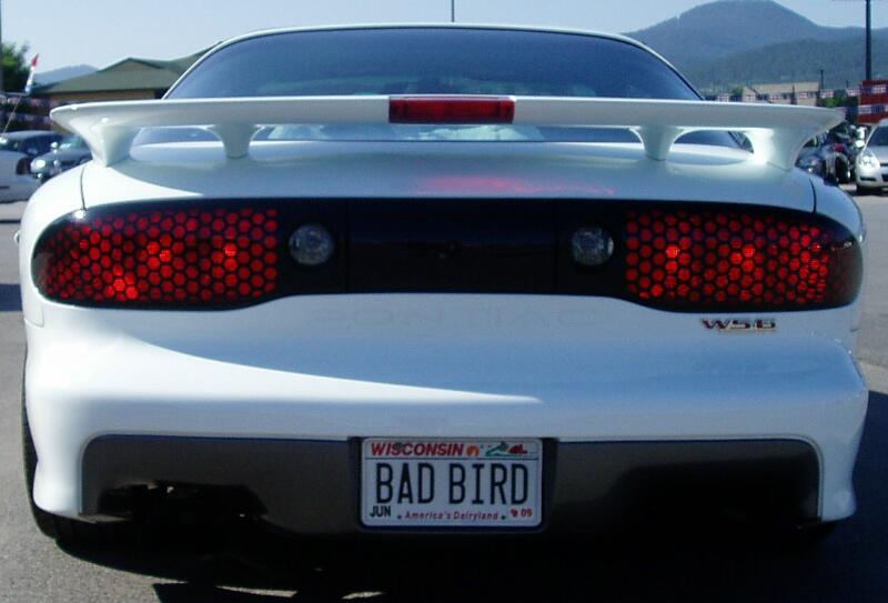 Plate BAD BIRD 38.jpg