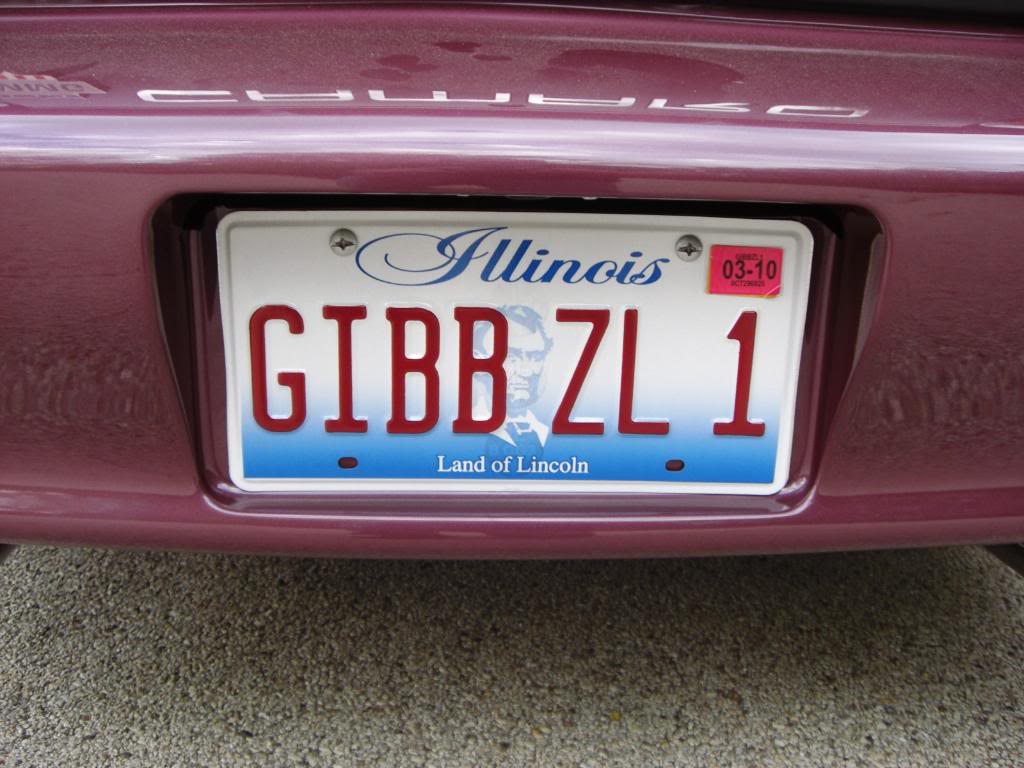 2002HelenGibbZL1027.jpg