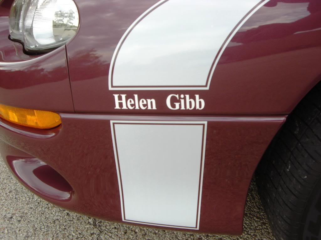 2002HelenGibbZL1020.jpg