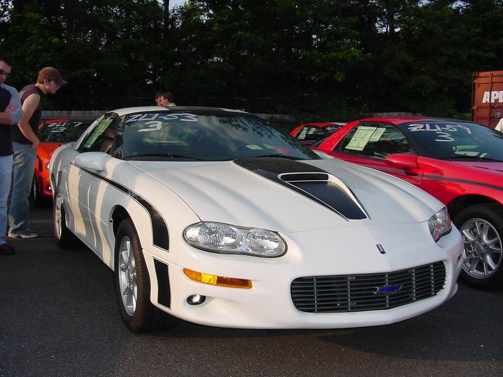 53zl1.jpg