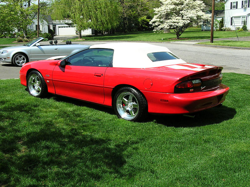 SS65 (22).jpg