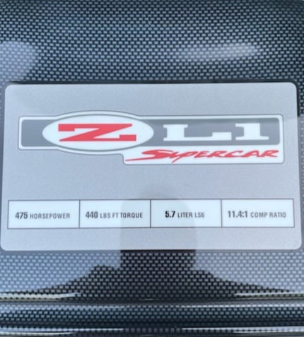 213224420_909698056559279_6813075450448003010_n.jpg
