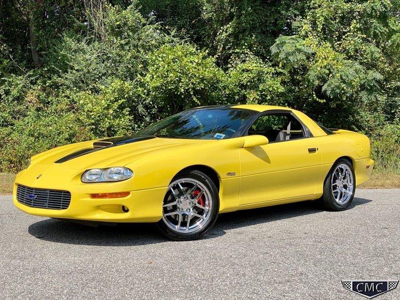 ZL136 Yellow Andy (1).jpg