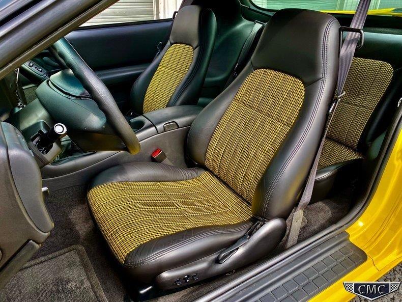 ZL136 Yellow Andy (21).jpg