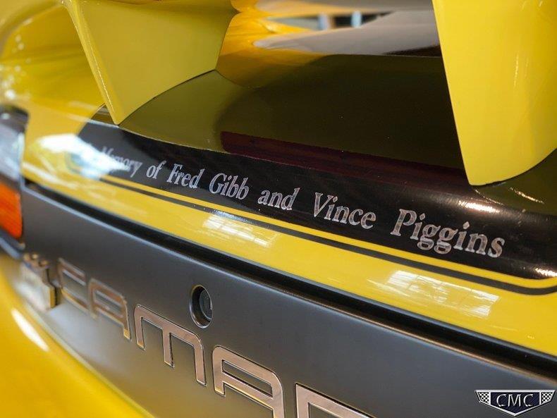 ZL136 Yellow Andy (60).jpg