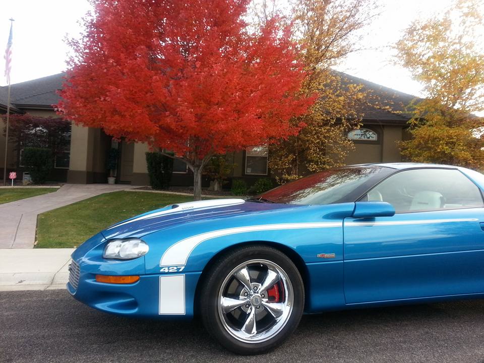 Zl1 #41.jpg