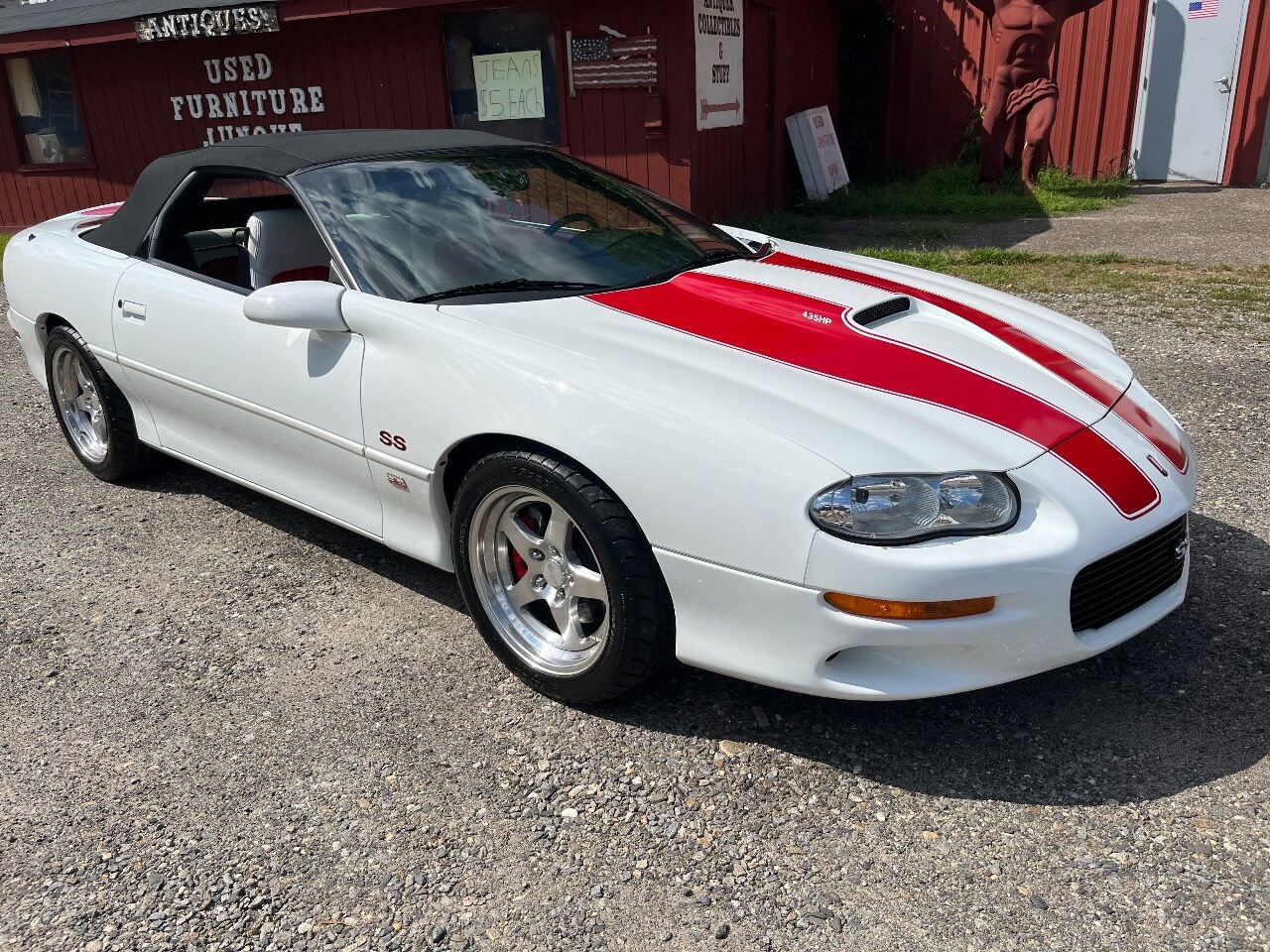 SS81 (15).jpg