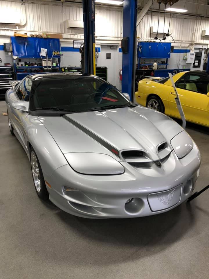2019 Berger Show
