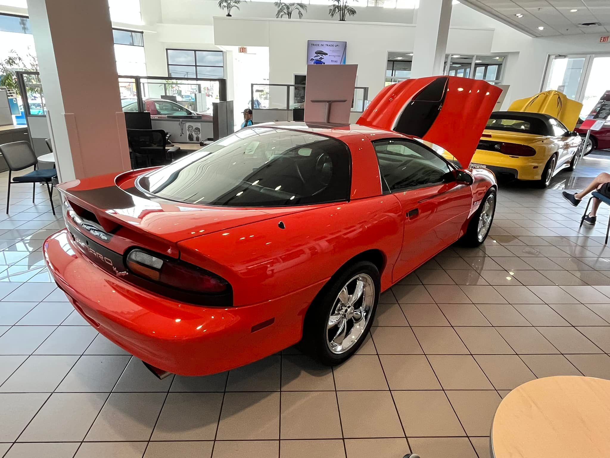 ZL1 #17p.jpg