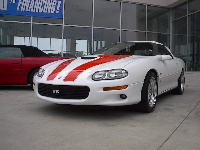 94SSVertWhite.jpg