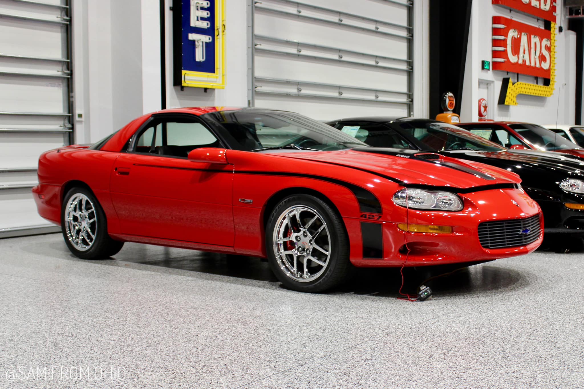 59 ZL1 7 DEI (10).jpg